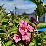 Na Spokojnej Rodzinne Country house Pogorzelica (Gmina Rewal)