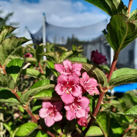Na Spokojnej Rodzinne Εξοχικό σπίτι Pogorzelica (Gmina Rewal)