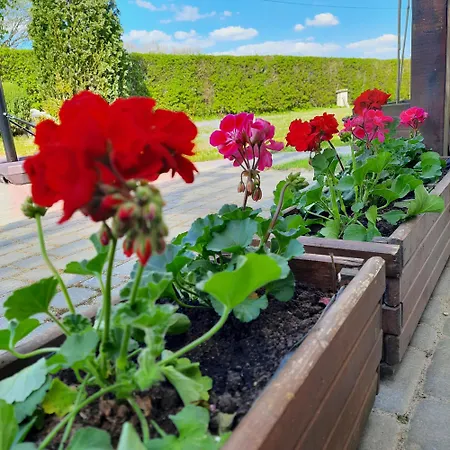 Εξοχικό σπίτι Na Spokojnej Rodzinne *